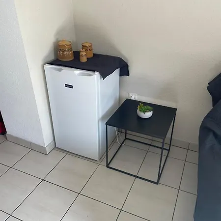 汉斯叔叔之家酒店 科尔马
